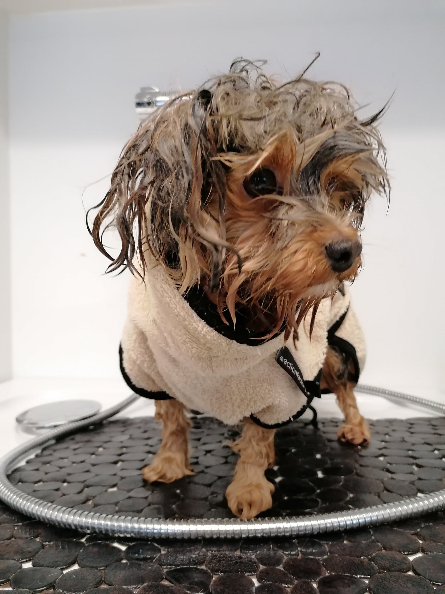 Tamei Shampoo Relax